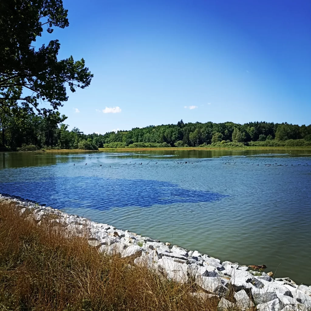 Novohaklovský rybník